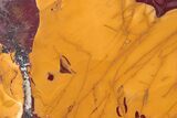 Vibrant, Polished Mookaite Jasper Slab - Australia #208135-1